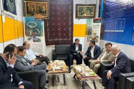 گلستان با ظرفیت‌های ناشناخته در IRAN EXPO2025حضور یافته است