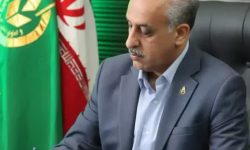 خرید ۵۴ هزار تن دانه روغنی کلزا از کشاورزان استان گلستان