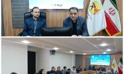 قدردانی نماینده ویژه توانیر از عملکرد شرکت توزیع برق گلستان در حوزههای مختلف