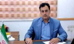 سهم گلستان از تسهیلات مشاغل خانگی نسبت به استان‌های همجوار بیشتر است