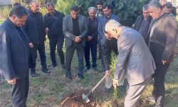 گلستان با کاشت ۱۳۰۰ اصله نهال به استقبال بهار با سوگی عظیم می رود