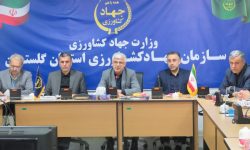 بازار استان بدون کمبود و تحت کنترل کامل است