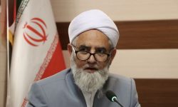 همصدایی علمای شیعه و سنی، پیشران جهاد تبیین و سپر وحدت اسلامی