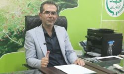 افزایش سطح کشت کاملینا در گلستان به ۸ هزار هکتار رسید