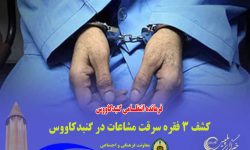 كشف 3 فقره سرقت مشاعات در گنبدكاووس