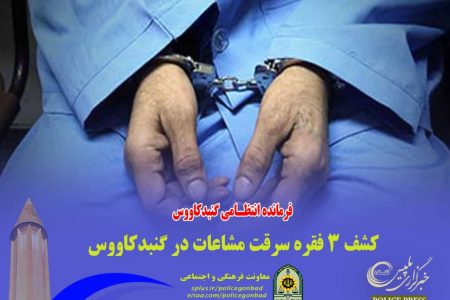 كشف 3 فقره سرقت مشاعات در گنبدكاووس