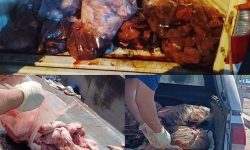 کشف و معدومسازی بیش از ۴۰۰ کیلو گرم فرآورده غیربهداشتی در شهرستان گرگان
