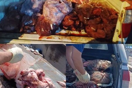 کشف و معدوم‌سازی بیش از ۴۰۰ کیلو گرم فرآورده غیربهداشتی در شهرستان گرگان