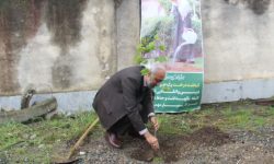 درختکاری به یاد رهبر شهید در مرکز مخابرات پیامبر اعظم (ص)