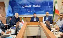 سال پرکاری در توسعه شبکه فیبر و دایری سرویس FTTH در پیش داریم
