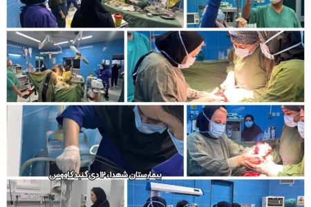 نجات معجزهآسای مادر باردار در گنبدکاووس / اقدام بهموقع تیم درمان جان دو بیمار را حفظ کرد