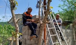 بهبود و بازسازی شبکه مخابرات در روستای ملاشی شهرستان مینودشت