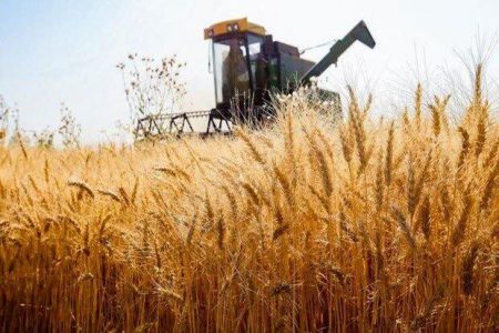 بیش از ۱۰۰مرکز خرید تضمینی گندم در گلستان آماده خدمترسانی به کشاورزان
