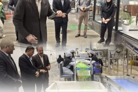 دیدار مدیرکل تأمین اجتماعی گلستان از کارخانه کشت و صنعت در هفته کار و کارگری