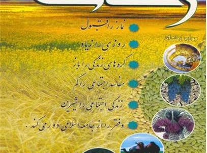 جمع آوری 217 میلیارد تومان زکات توسط شوراهای زکات استان گلستان وتوزیع بین نیازمندان
