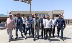 بازدید مدیرکل تعاون، کار و رفاه اجتماعی گلستان از شرکت تعاونی گندمداران سیلوی مراوهتپه «آرد خوشه» با تأکید بر تقویت اقتصاد تعاونی و امنیت غذایی