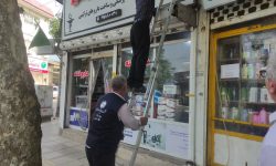 ادامه روند توسعه زیرساخت فیبر نوری در شهرستان رامیان