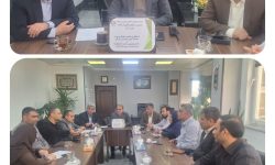 اجرای طرح ضربتی مبارزه با جوندگان موذی در شهر گرگان