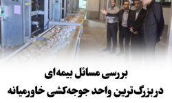 بازدید مدیرکل تأمین اجتماعی استان گلستان از مجتمع جوجه‌کشی «کاسپین طلائی چیکا»؛ گامی در جهت حمایت از تولید و اشتغال