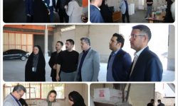 استاندارد سازی، کیفیت محصولات را بالا میبرد و چرخ تولید را سرعت میدهد