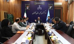 ورود دادگستری گلستان به حل مشکل خریداران خودرو؛ خودروهای معوق فردا موتورز بدون تشکیل پرونده قضایی تعیین تکلیف شد