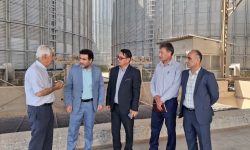 تدبیر پیش از بحران؛ اقدام پیشگیرانه دادستانی ترکمن برای کاهش حوادث جاده‌ای در فصل برداشت خوشه های طلایی