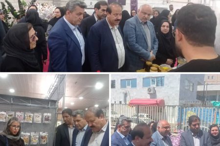 نمایشگاه «تولید؛ خانواده پایدار، آینده‌ای ماندگار» در گرگان برگزار شد