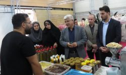 توسعه اقتصادی گلستان در گرو پیوند «تولید» و «خانواده»