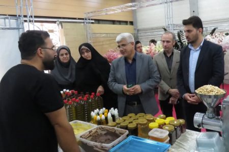 توسعه اقتصادی گلستان در گرو پیوند «تولید» و «خانواده»