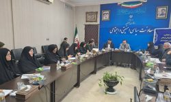 حضور نماینده دفتر امور زنان و خانواده استانداری گلستان در سومین جلسه مشترک شورای اجتماعی و کارگروه اجتماعی، فرهنگی، سلامت، زنان و خانواده استانداری