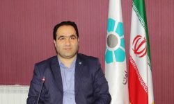 حمایت گسترده بانک توسعه تعاون از تولید گندم در استان گلستان؛