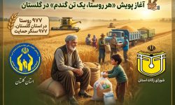 از برکت گندم تا لبخند محرومان / آغاز پویش «هر روستا، یک تن گندم» در گلستان