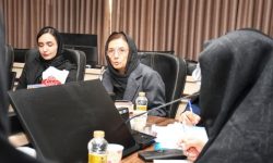 بررسی ظرفیتها و چالشهای اشتغال بانوان در سومین نشست کارگروه استان گلستان