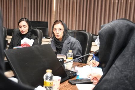 بررسی ظرفیت‌ها و چالش‌های اشتغال بانوان در سومین نشست کارگروه استان گلستان