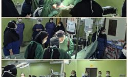 نجات جان مادر باردار پرخطر در مینودشت