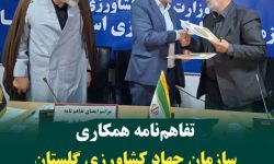 تفاهمنامه همکاری سازمان جهاد کشاورزی گلستان و ستاد اقامه نماز استان امضا شد