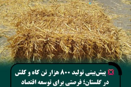 تولید حدود ۸۰۰ هزار تن کاه و کلش همزمان با برداشت گندم در استان