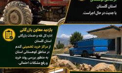 خرید تضمینی گندم در مناطق کوهستانی استان گلستان همچنان ادامه دارد