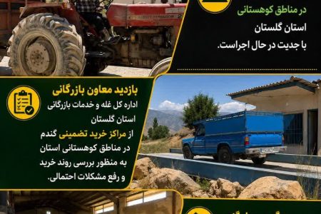 خرید تضمینی گندم در مناطق کوهستانی استان گلستان همچنان ادامه دارد