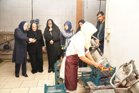 بازدید مدیرکل دفتر امور زنان و خانواده استانداری گلستان از کارخانه میوه خشک تانسو