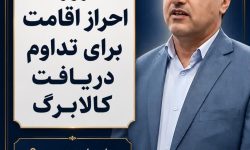 تأکید مدیرکل تعاون، کار و رفاه اجتماعی گلستان بر ضرورت احراز اقامت برای تداوم دریافت کالابرگ