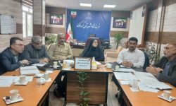 مدیریت تامین سوخت نیازمند همکاری همه دستگاههای اجرای است