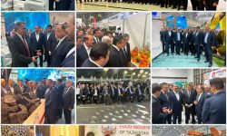 بازدید هیأت تجاری گلستان از نمایشگاه اگروفود و صنعت تاجیکستان