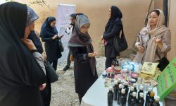 معرفی توانمندی‌های تولیدکنندگان محلی، حمایت از مشاغل خانگی