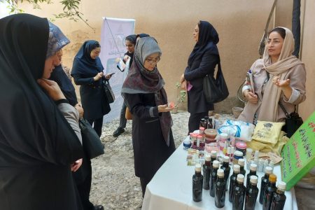معرفی توانمندی‌های تولیدکنندگان محلی، حمایت از مشاغل خانگی