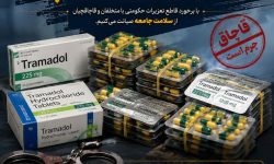 محکومیت 1 میلیارد ریالی سزای نگهداری 17600 عدد قرص ترامادول
