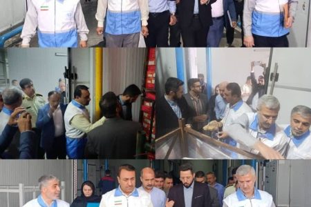 نظارت ویژه بر سلامت محموله ۲ هزار تنی مرغ منجمد در گلستان