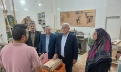 بازدید میدانی کیانمهر از واحدهای تولیدی و پروژههای سرمایهگذاری گنبدکاووس