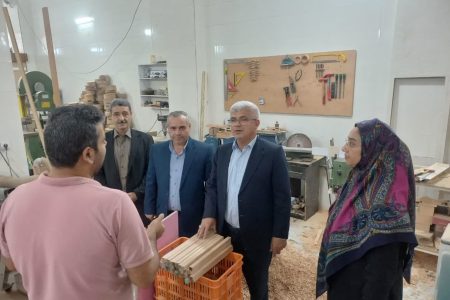 بازدید میدانی کیانمهر از واحدهای تولیدی و پروژههای سرمایهگذاری گنبدکاووس